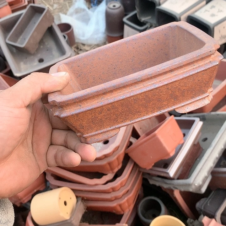 紫砂哈哈真的是太给力太火爆了不是吗