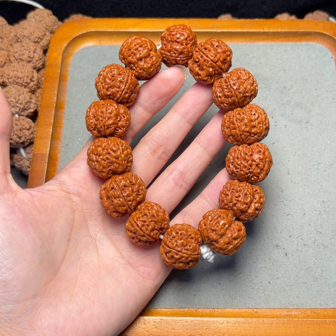 菩提21号金刚菩提满肉梅花23