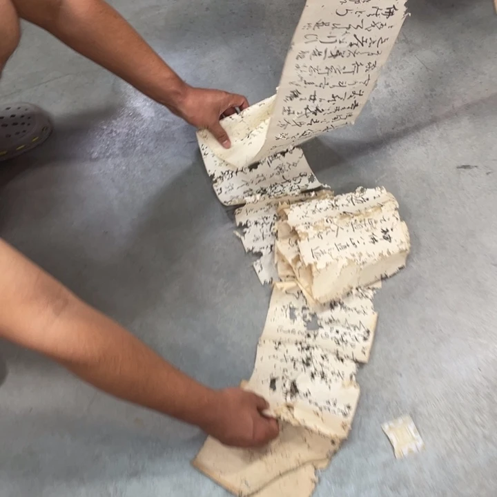 5***7精品剪纸作品欣赏