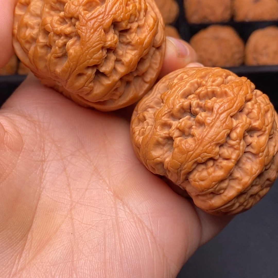 文玩核桃把件秦岭野生核桃