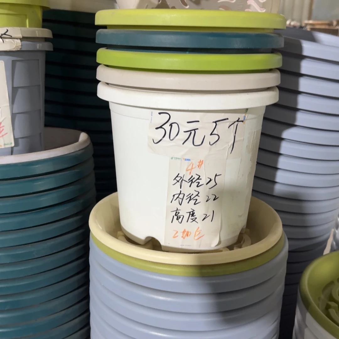 四季4#口径25带拖果绿10套