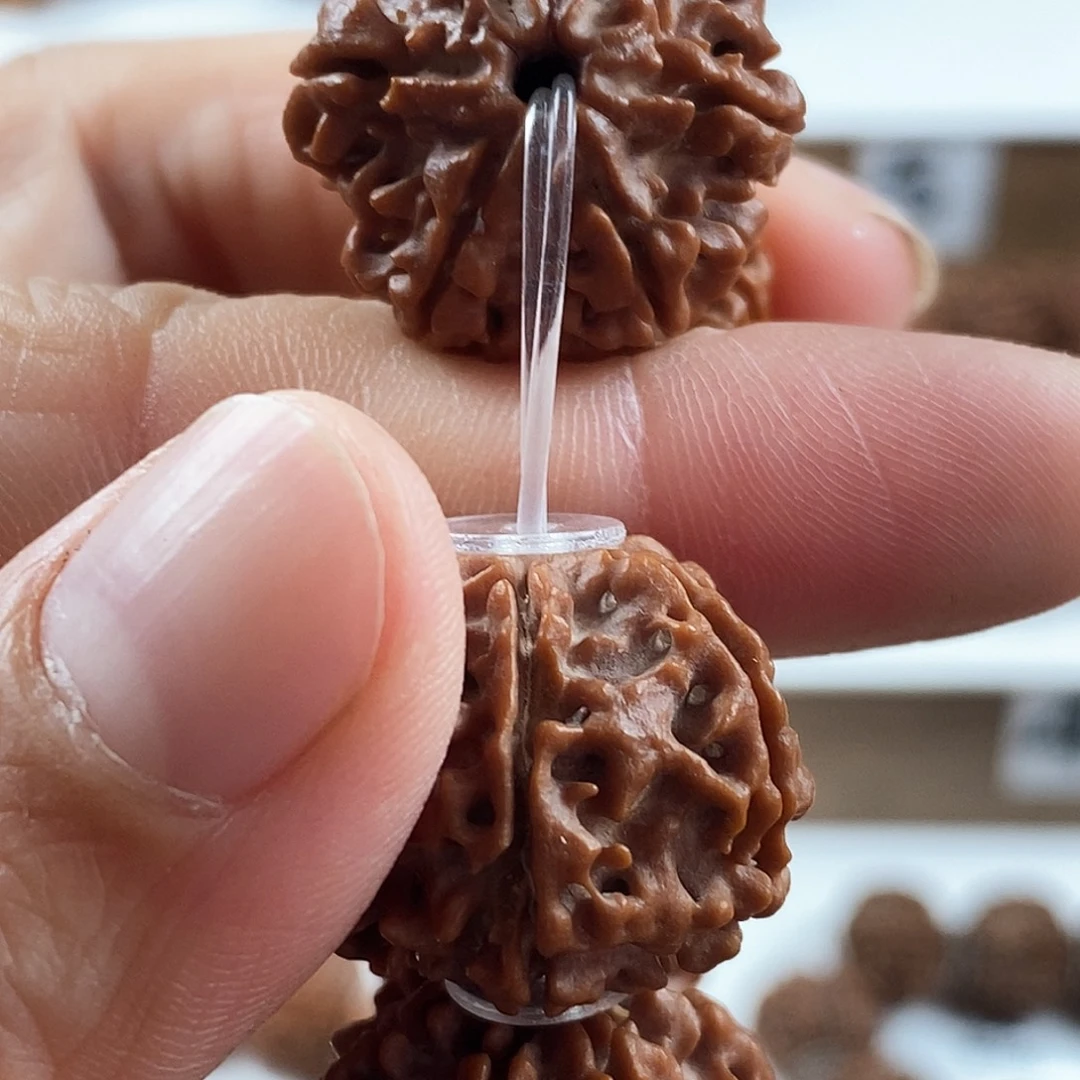 金刚菩提手串原生态6瓣龙灯