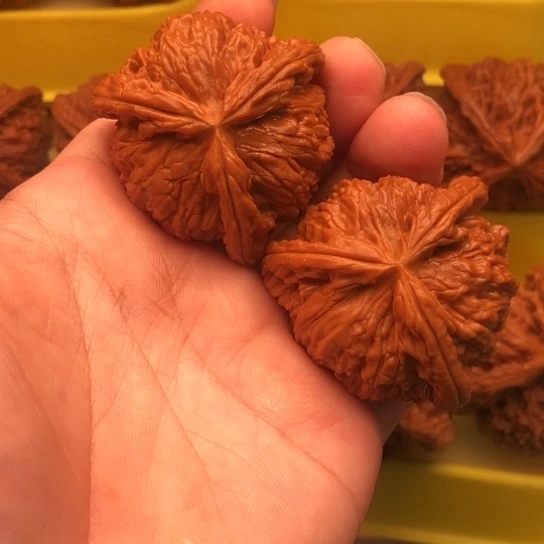 你***线核桃核桃核桃核桃核桃
