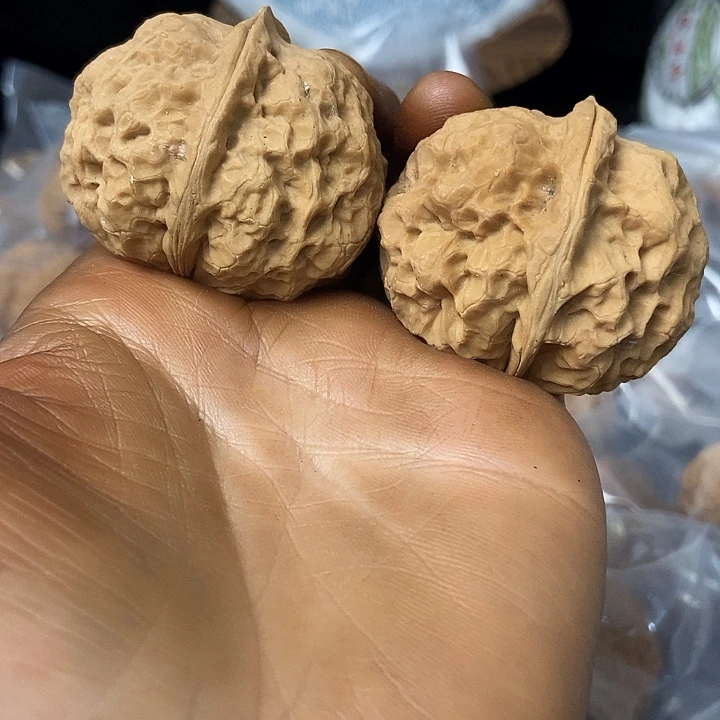 把件文玩核桃云南铁核桃基地28
