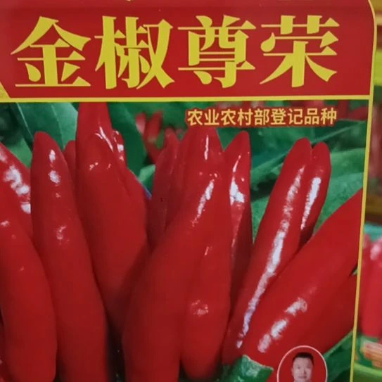 中国大陆柘城辣椒大市场