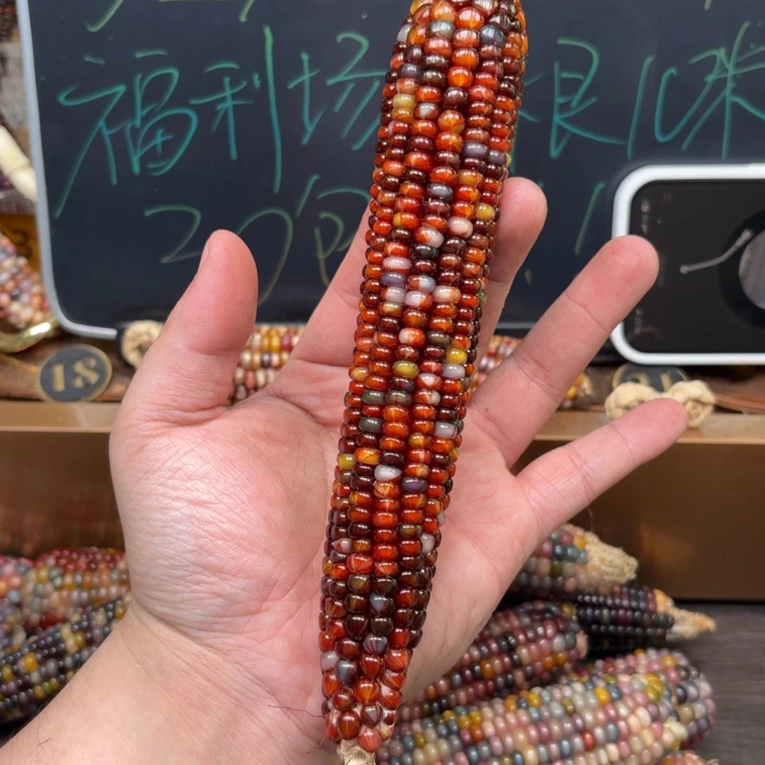 柏香籽/百香籽吊坠遗*