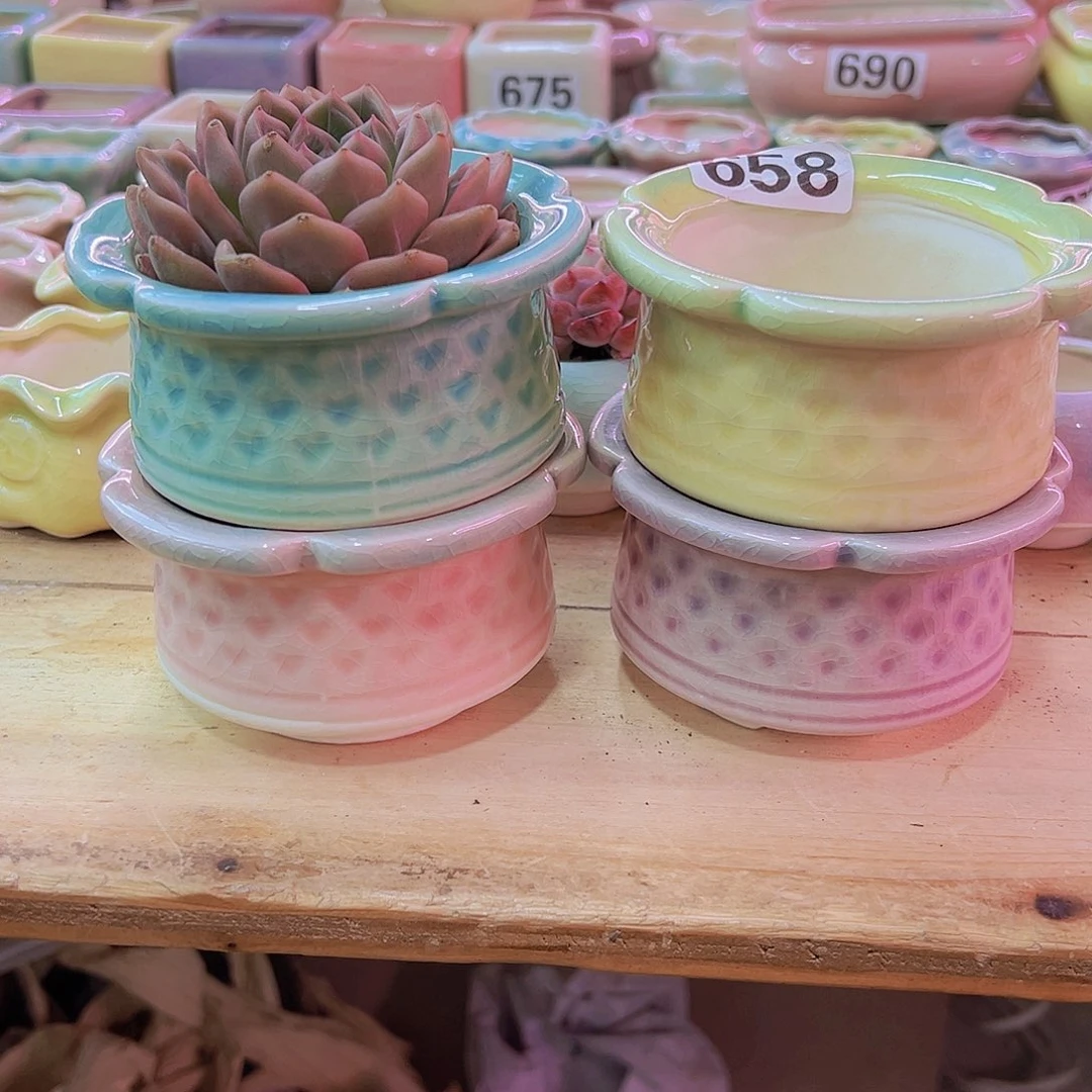 陶瓷花盆当场凑满12包邮