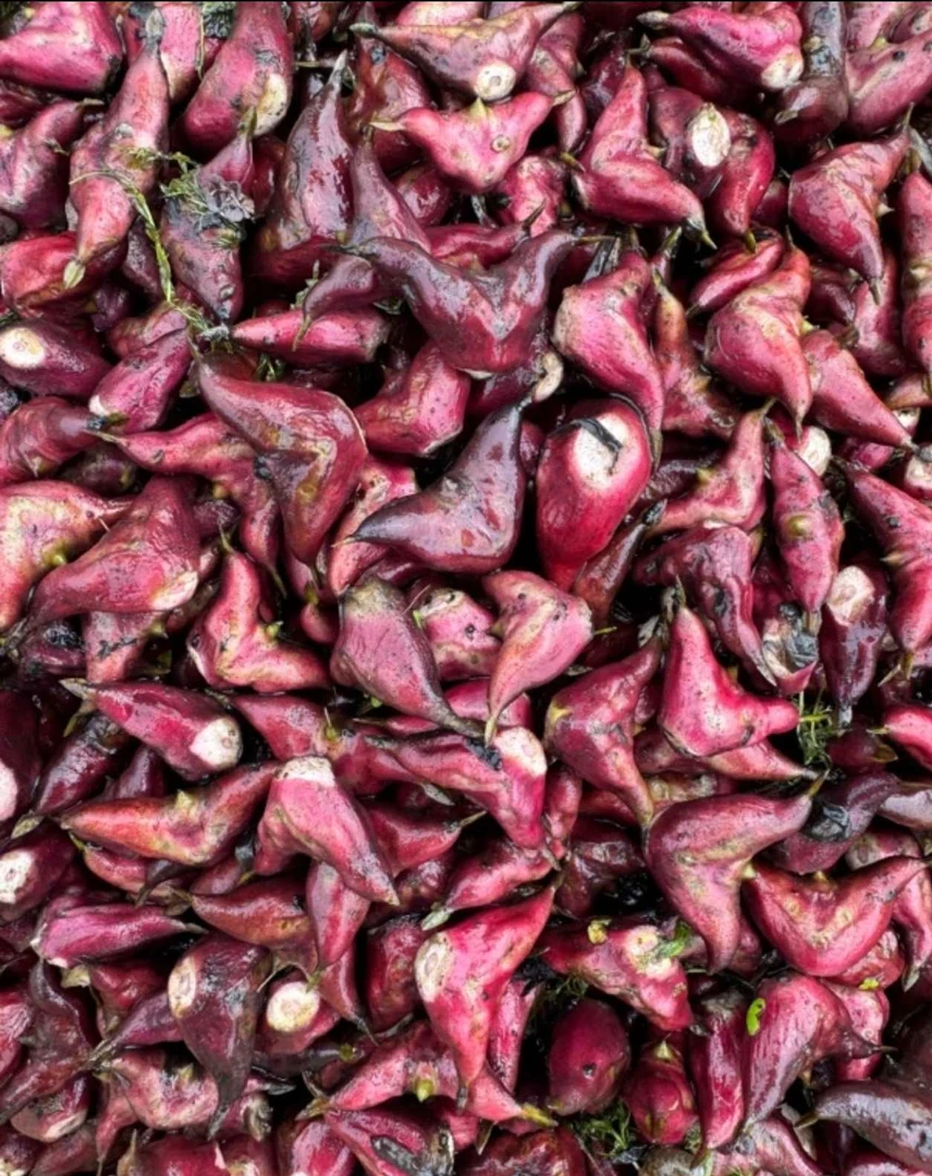 5斤顺丰包邮新鲜菱角固始老菱角黑棱角棱角菱角粉糯新鲜菱角