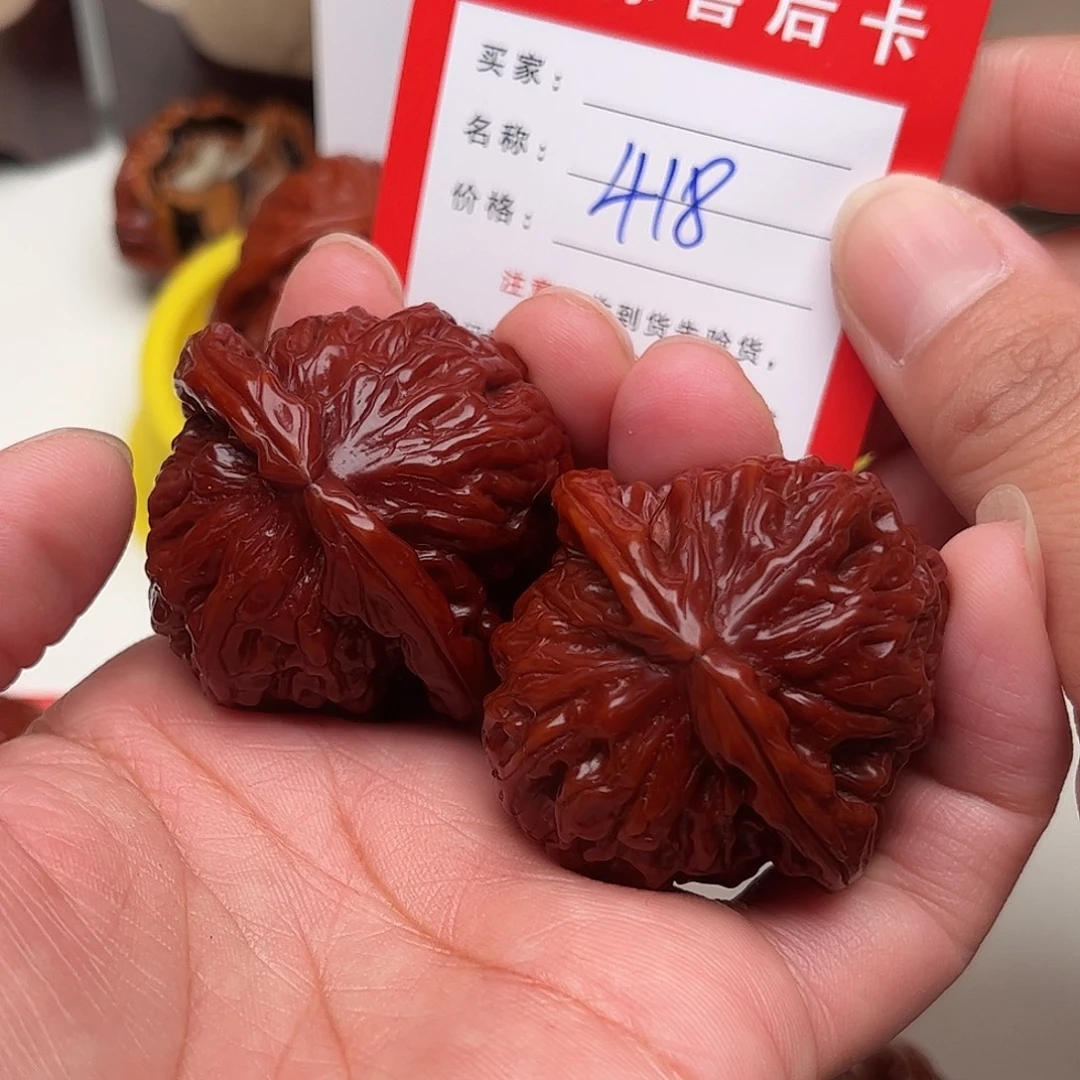 418。 41尺。 白狮子