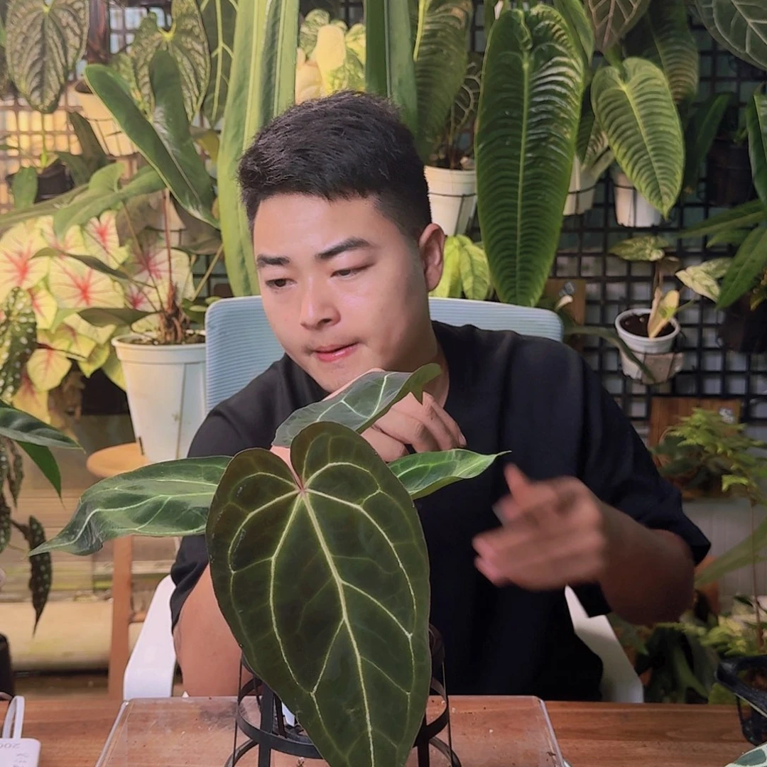 已***读完全开放一物一拍M104
