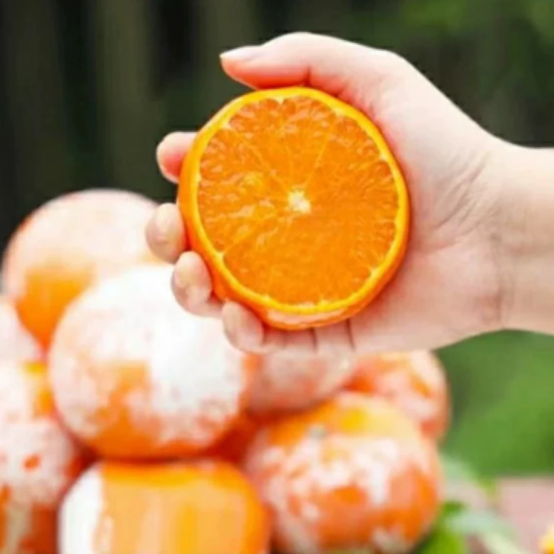 【新疆包邮】广西大果脏脏柑皮薄多汁新鲜橘子2.5公斤