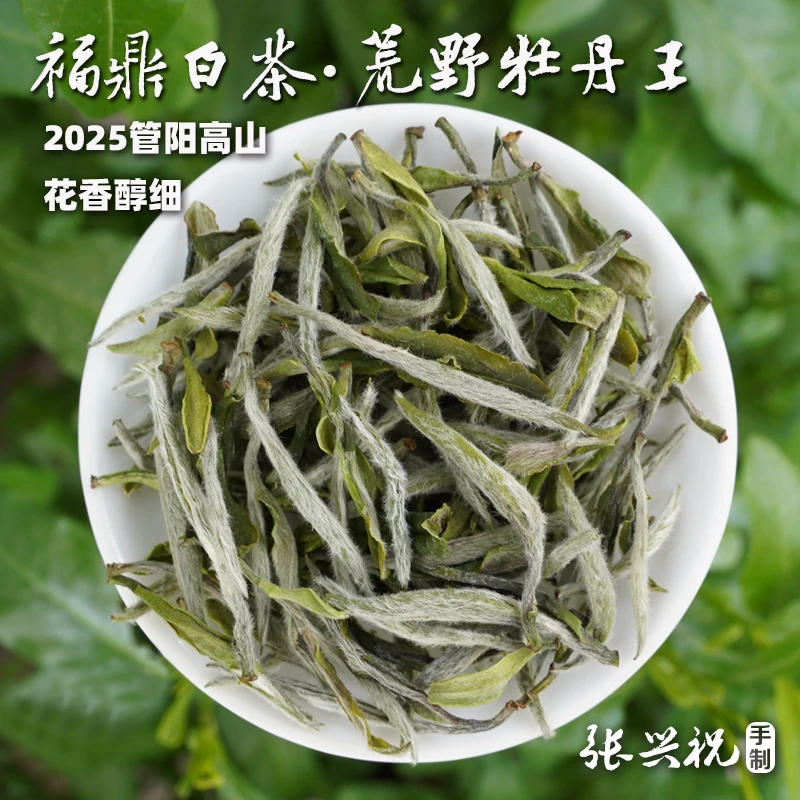 【福鼎荒野牡丹王】2025新茶鲜甜花香细腻,管阳高山白茶125g