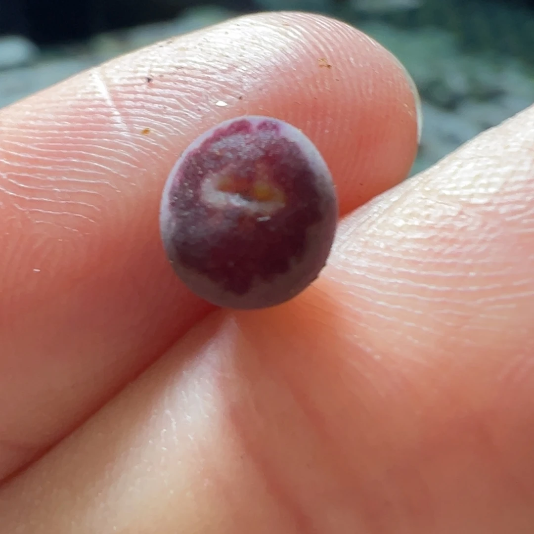 大圣归来大圣归来