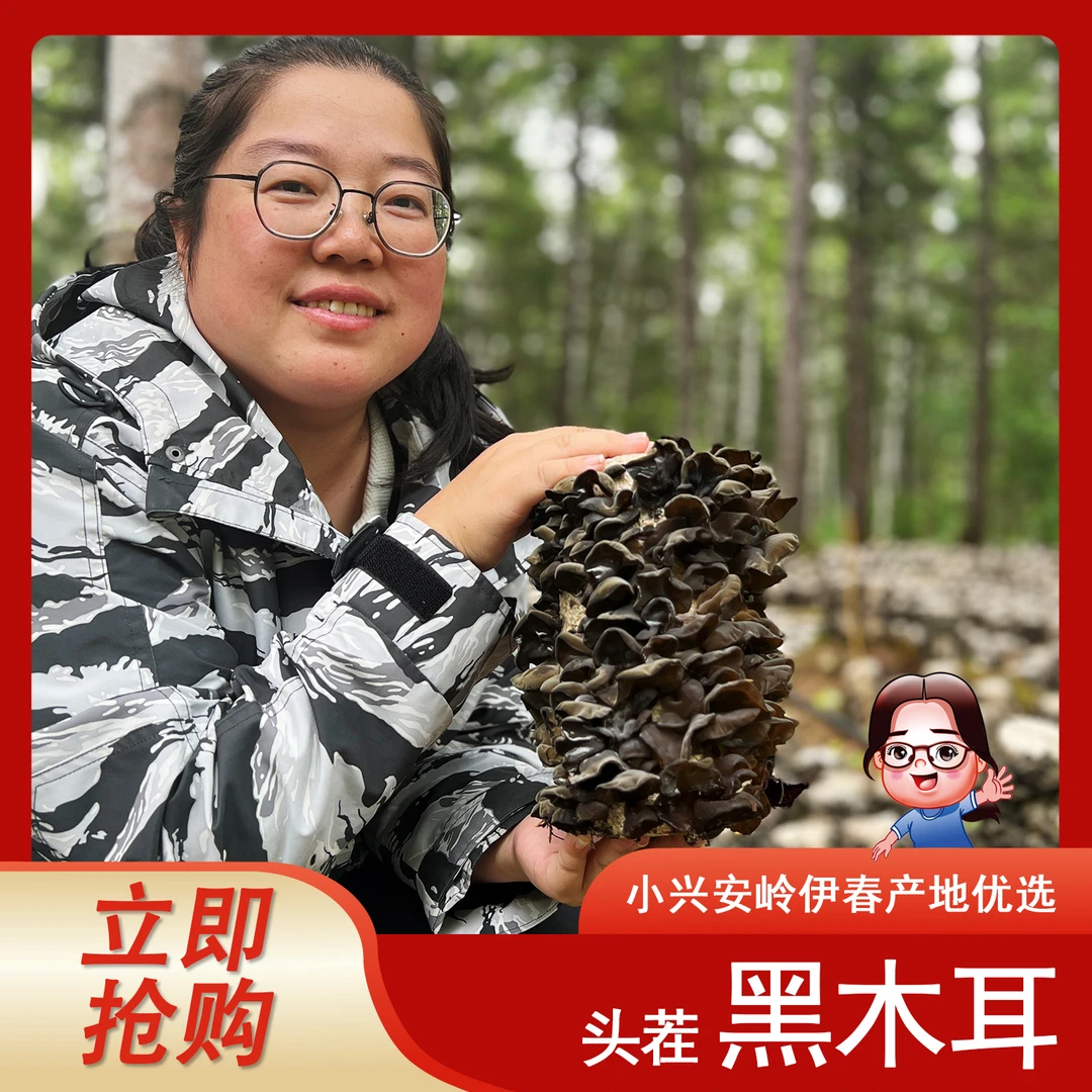 《小翠商贸》2025年小兴安岭伊春头茬春耳好吃 干净  木耳