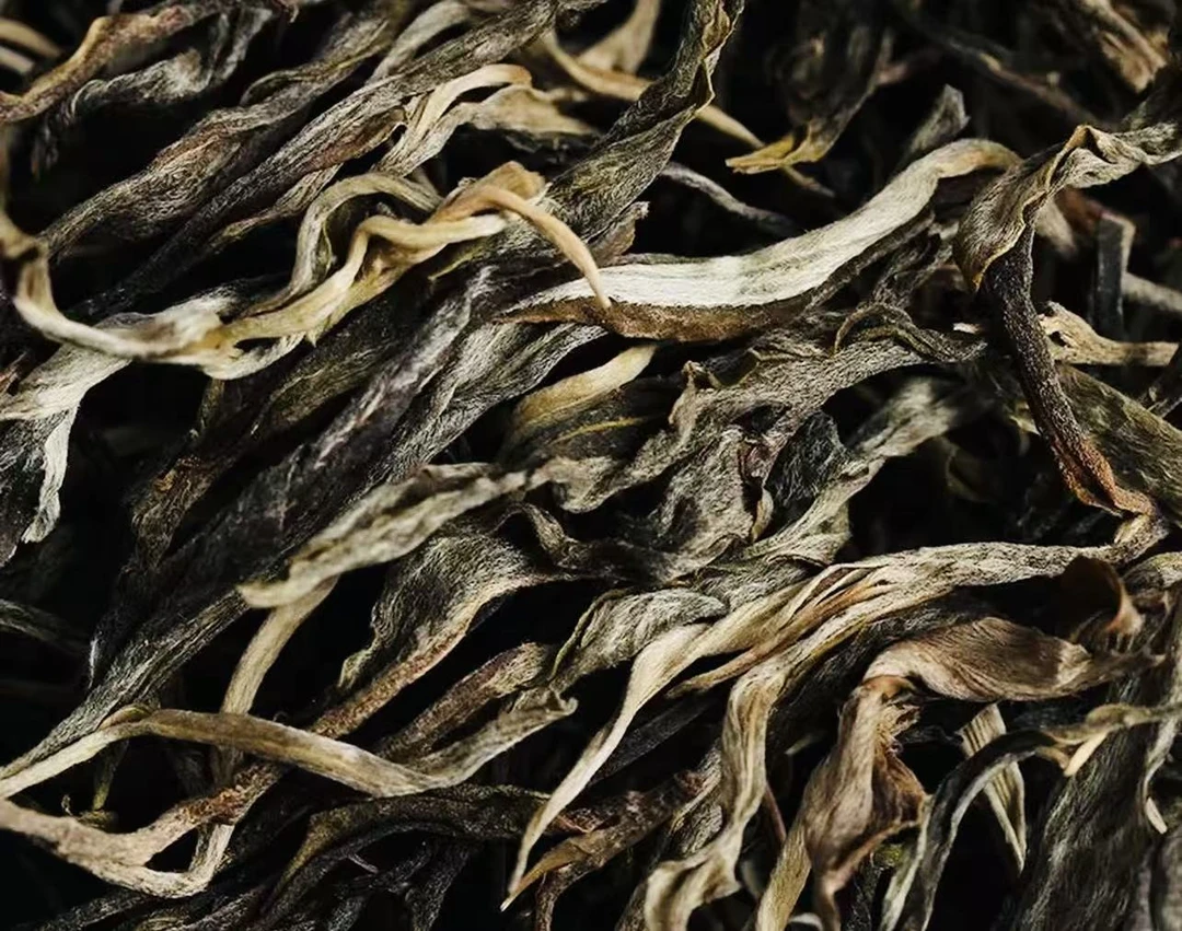 【大郭专属0530】多样性发货/可搭配茶