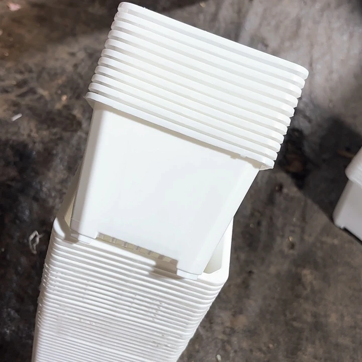 120白方盆11公分高8公分30个