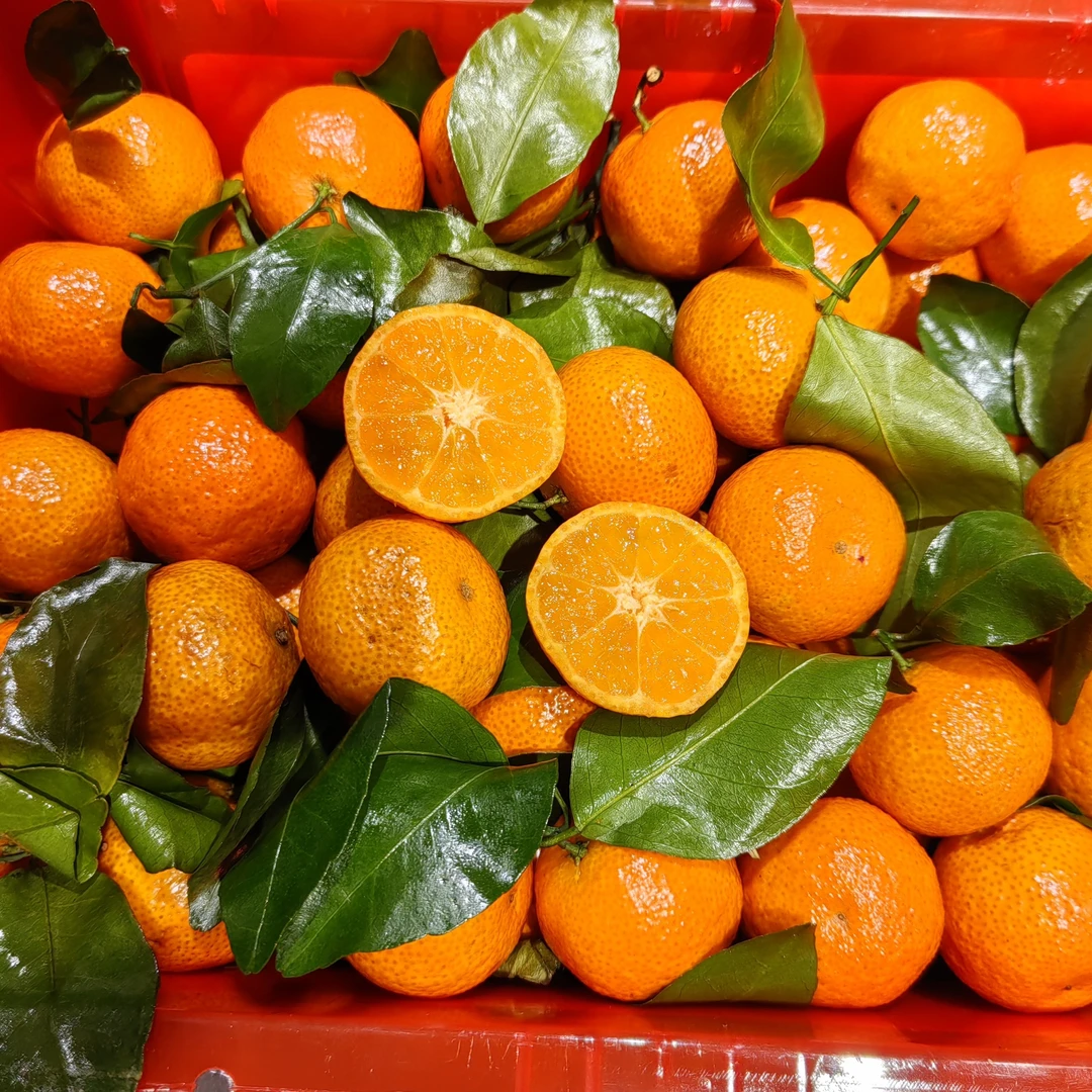 沙糖桔，皮薄水大甜，25一筐（4斤）