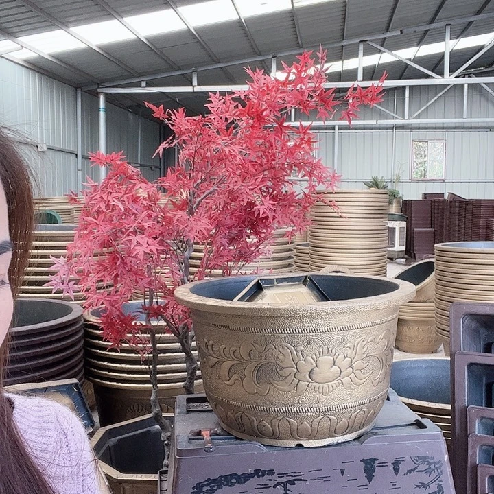 83花盆2个200元包邮