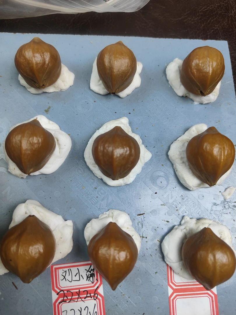 精卡铁核 尺寸2.1*2.4