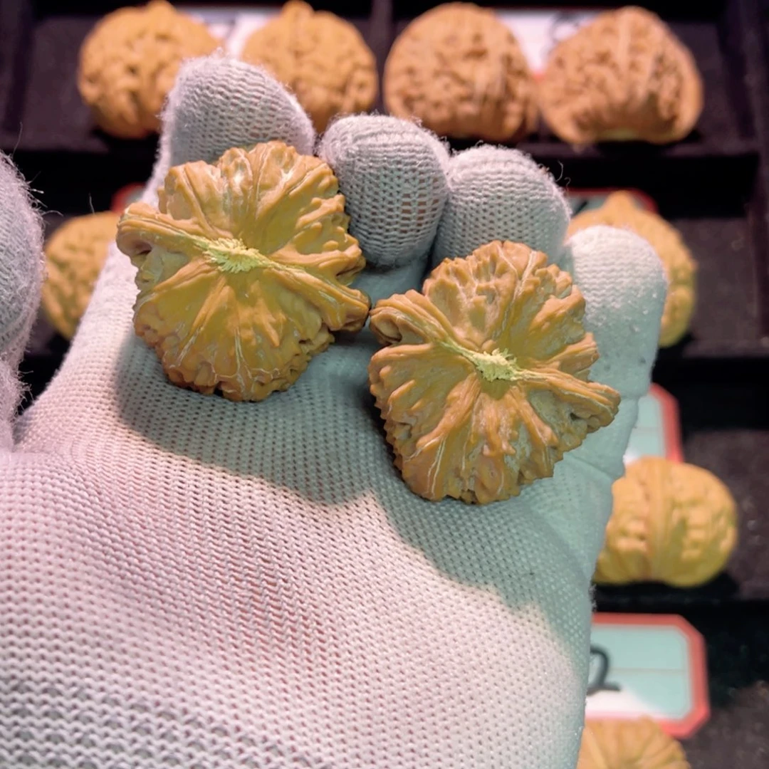 用****3秦皇岛山地果全品