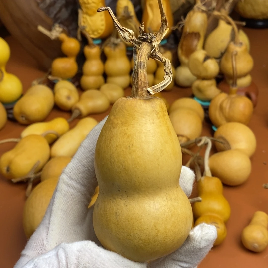 植***人途径路途哭了哭了哭