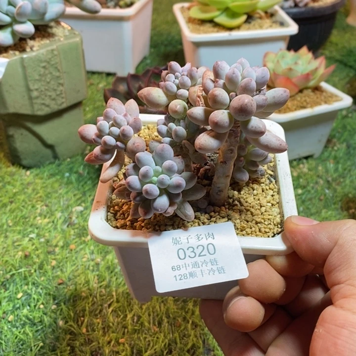 0320啊啊啊啊啊啊啊啊啊