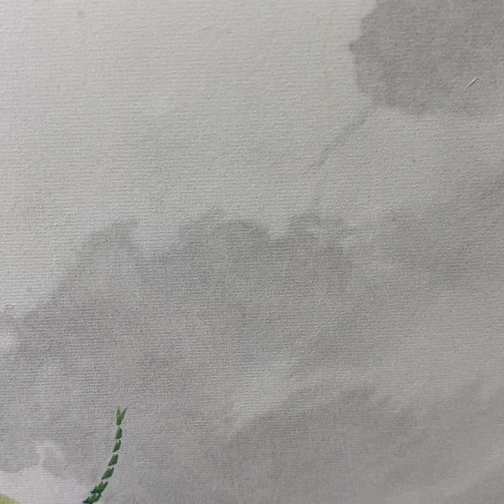 喜***猫国画听兰老师花鸟