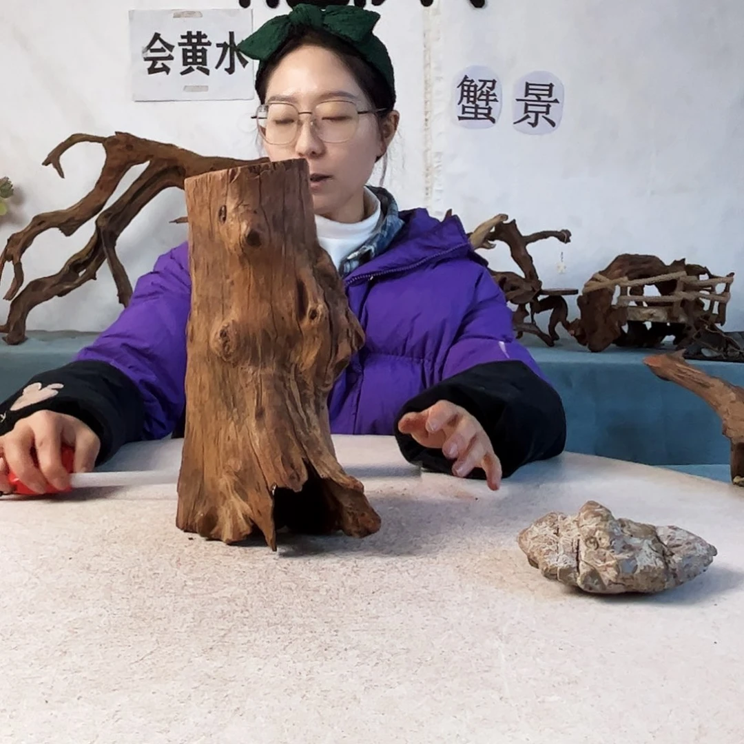 沉木造景爬宠造景