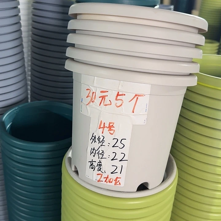 四季4#口径25灰白10个无托