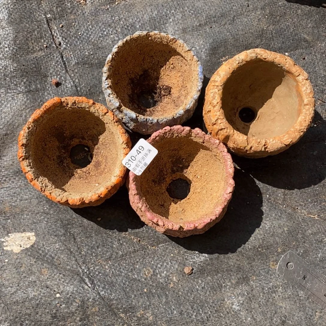 红陶小*49号多肉盆四个