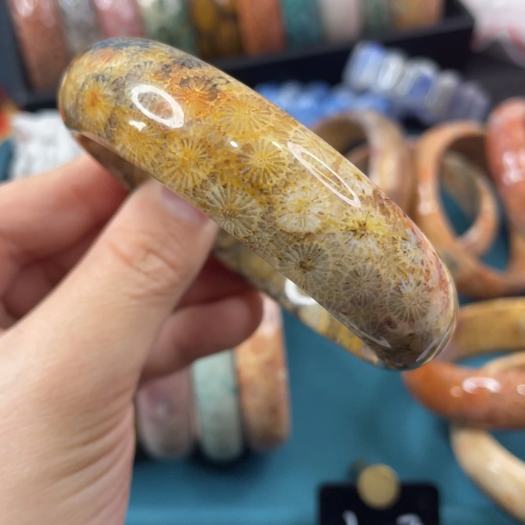 未镶嵌手镯硅化玉