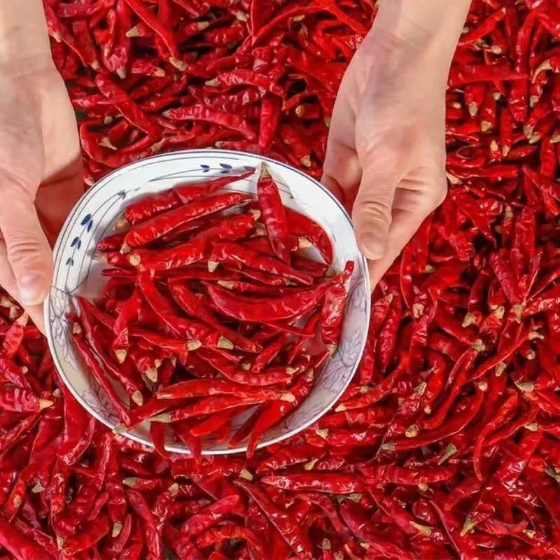 【朝天椒干辣椒】农家晾晒干辣椒香辣可口