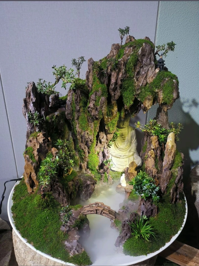 微盆，雨林造景素材