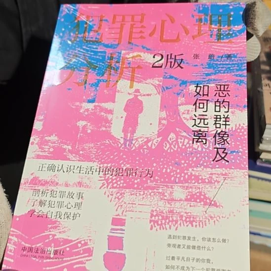 犯罪心理分析2版平装库存书