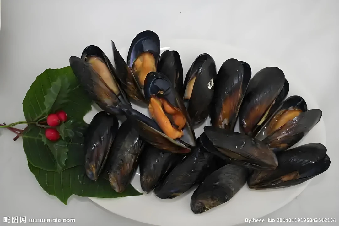 岚山海红5斤、包肥包鲜不包活、极兔冷链