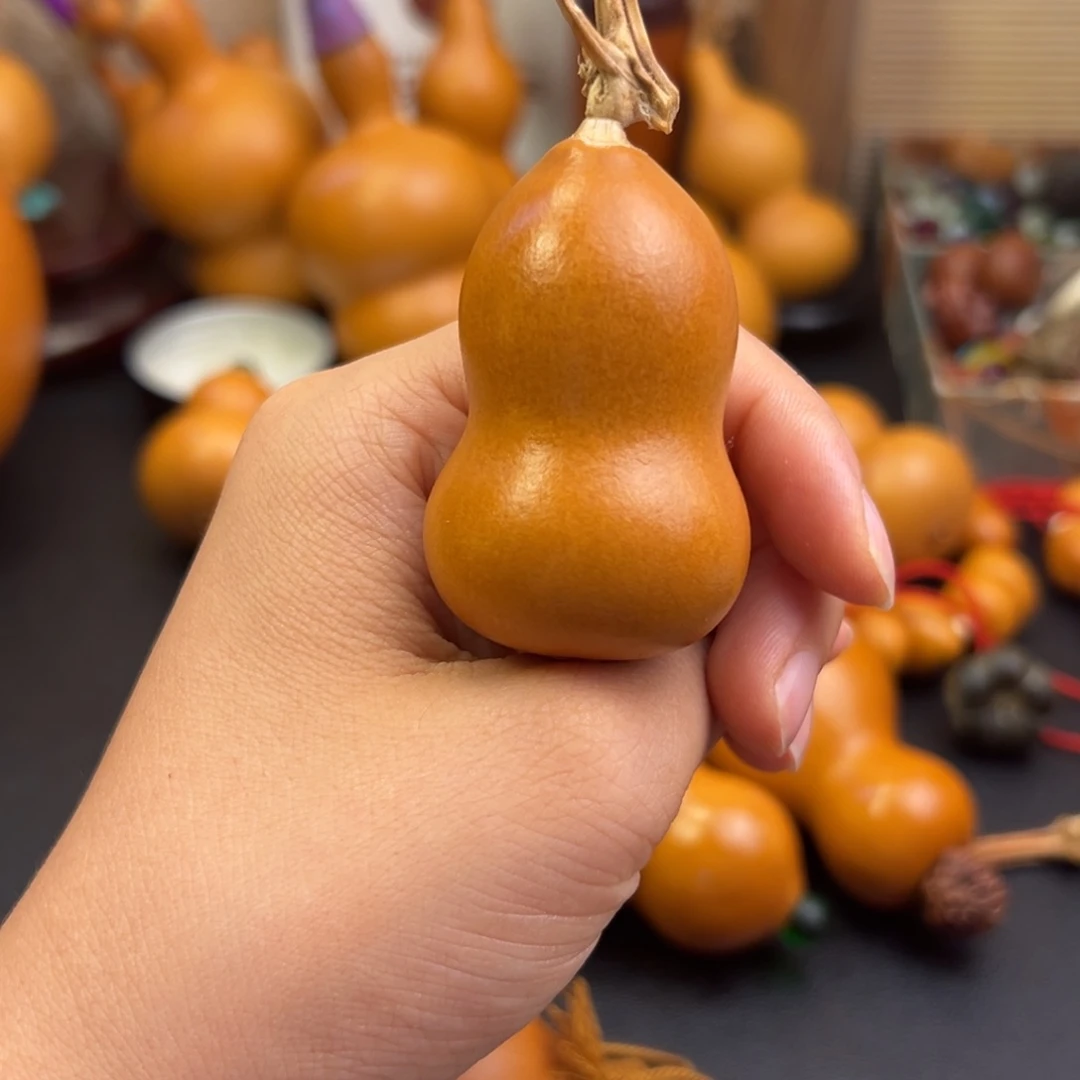 余***?葫芦葫芦葫芦葫芦葫芦葫芦葫芦