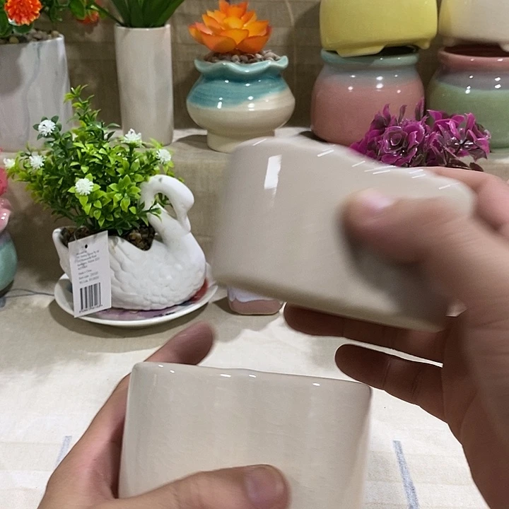 花盆抢购清货马上开始