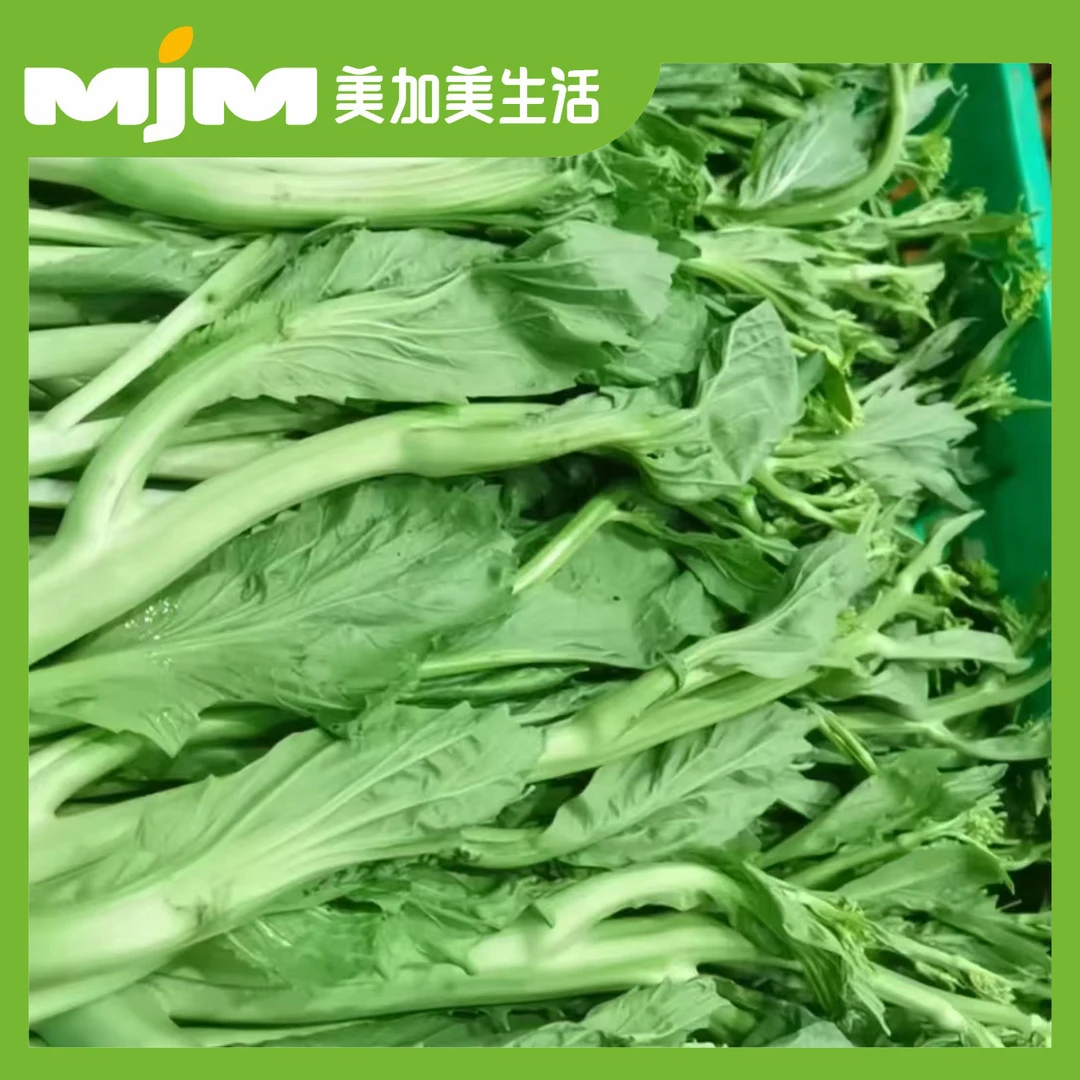 芥菜心500g±20g/份