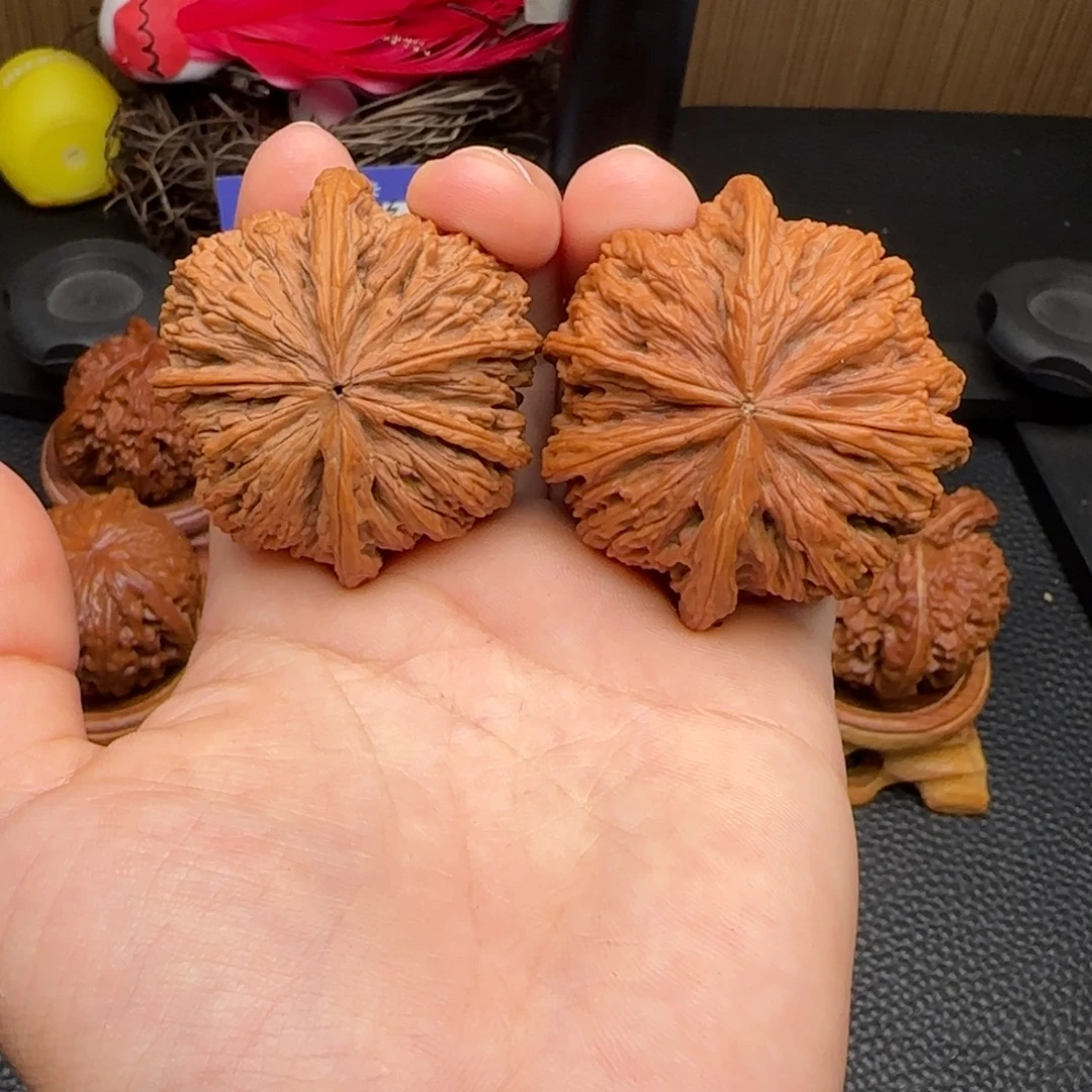 把件文玩核桃红宝石 全品 46尺寸