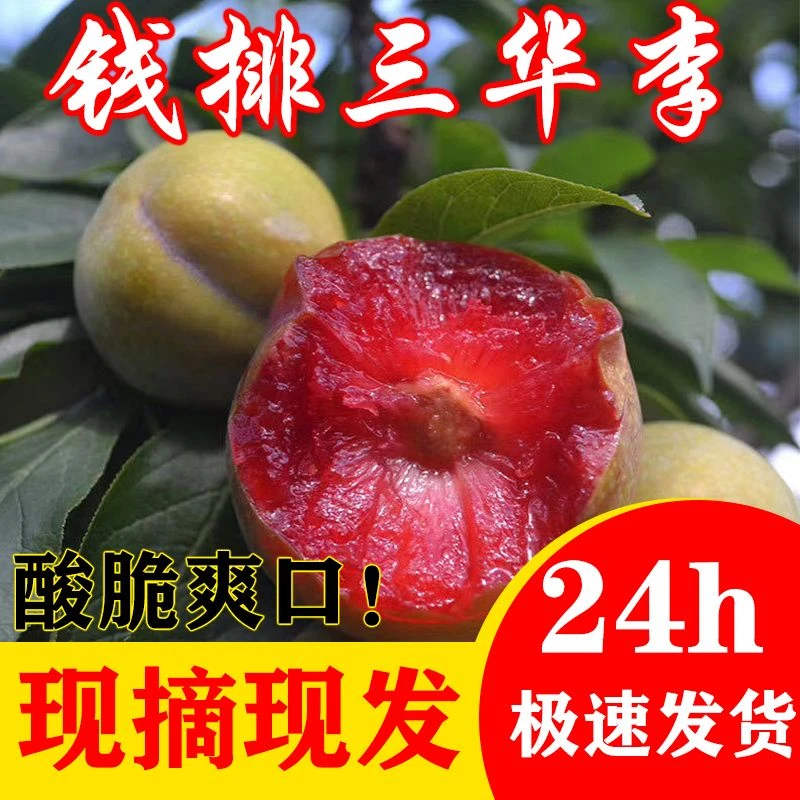 【尝鲜立降 现采现发】三华李红心李子当季酸甜爽脆当季新鲜水果批