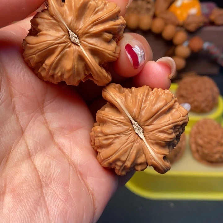 文玩核桃吊坠39白狮子全品