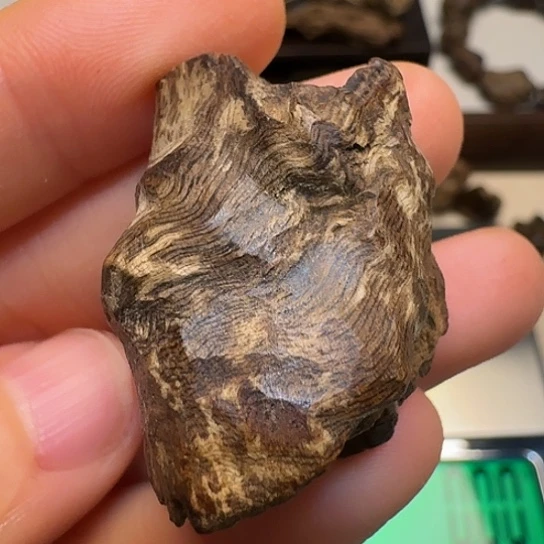 静水静水达拉干软丝5.7克沉水！！