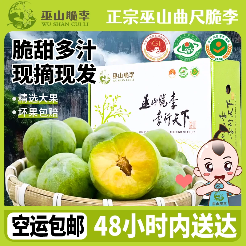 空运包邮巫山脆李曲尺核心产区黄心脱骨新鲜水果礼盒装60/48枚装
