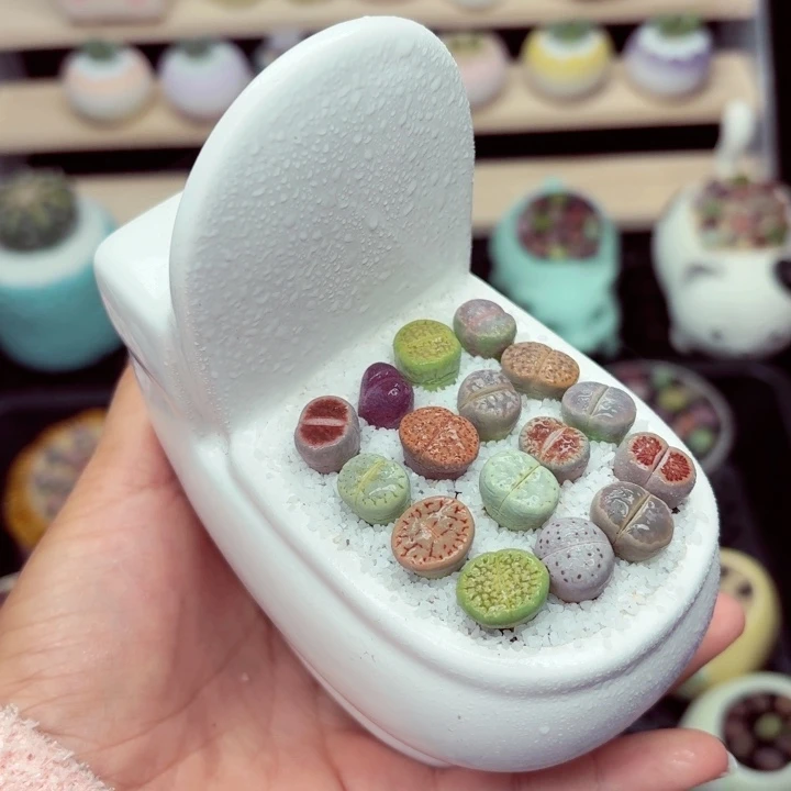 8025零下地区记得拍保温箱