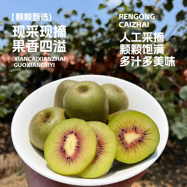 顺丰包邮正宗贵州水城红心猕猴桃新鲜奇异果高山当季水果现摘现发