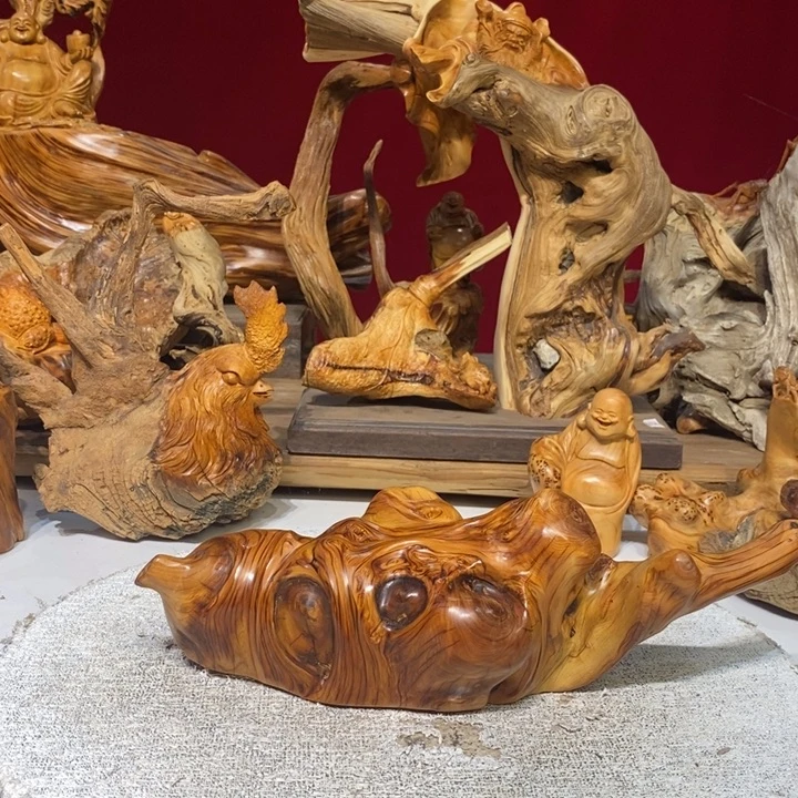 柏木（崖柏）88888888