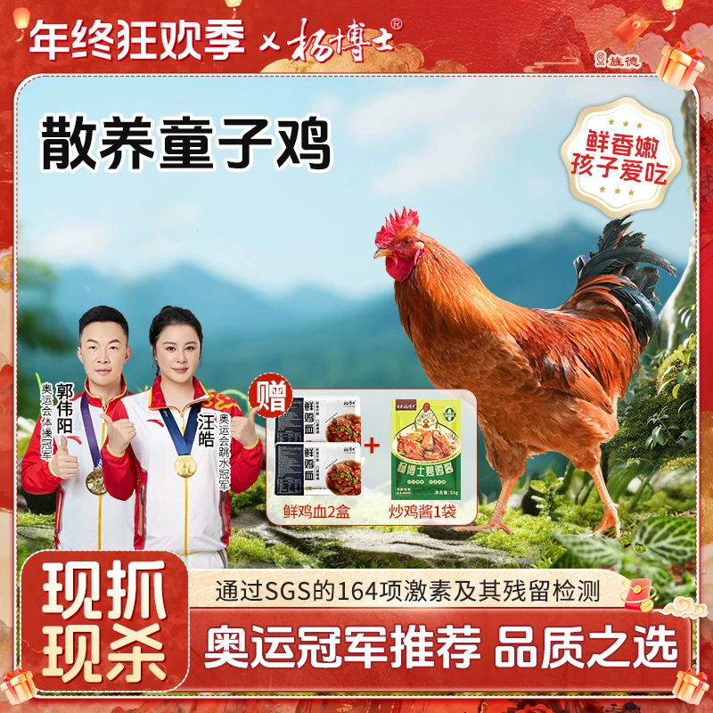 【孩子爱吃童子鸡】杨博士土鸡童子鸡皖南深山散养 包冰率不含冰