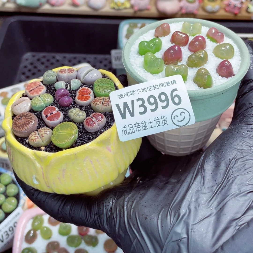 夜间零下地区拍保温箱w3996