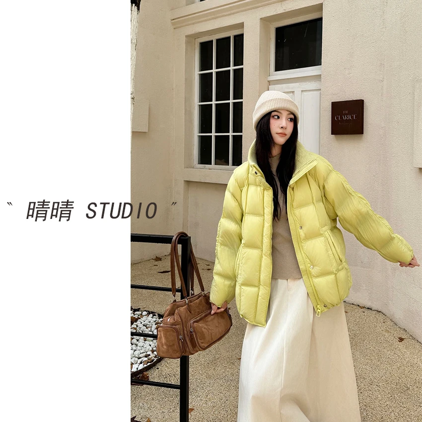晴晴家-「至奢至暖」25年冬韩系简约百搭休闲保暖高领羽绒服807
