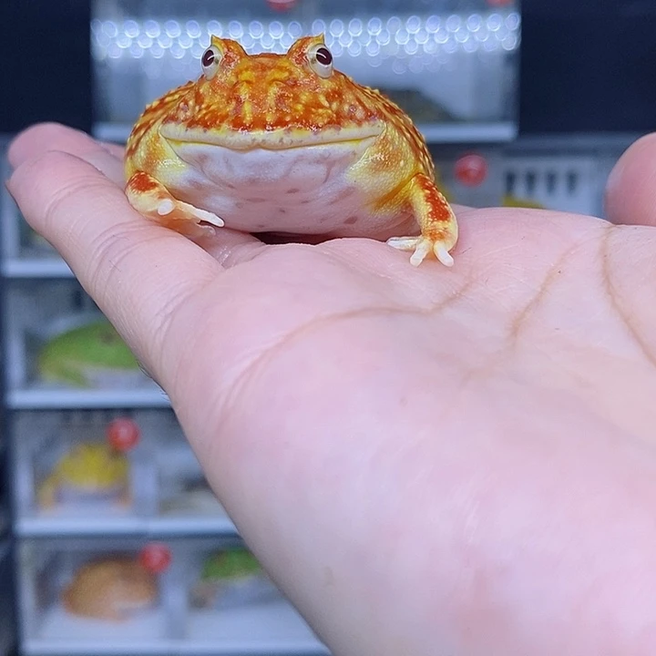 特价秒杀现货特价